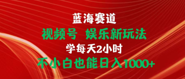 （10818期）蓝海赛道视频号 娱乐新玩法每天2小时小白也能日入1000+-好创网