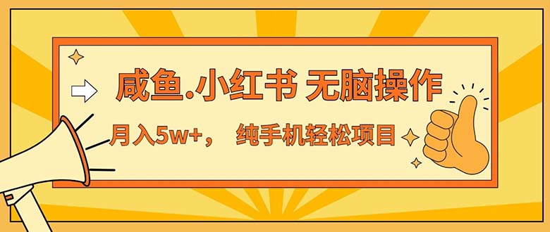 （11524期）2024最赚钱的项目，咸鱼，小红书无脑操作，每单利润500+，轻松月入5万+…-好创网