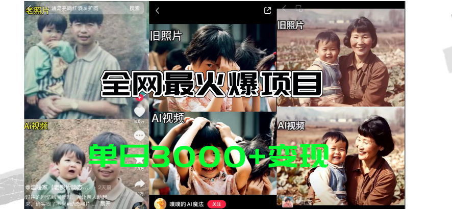 （11546期）全网爆火的AI让老照片动起来教程，蹭热点日赚3000+，内含免费工具一键…-好创网