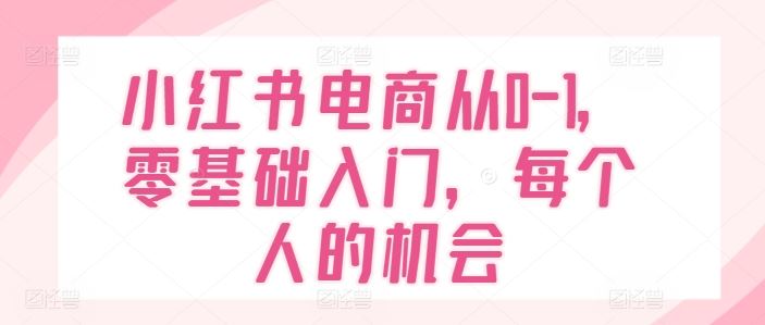 小红书电商从0-1，零基础入门，每个人的机会-好创网