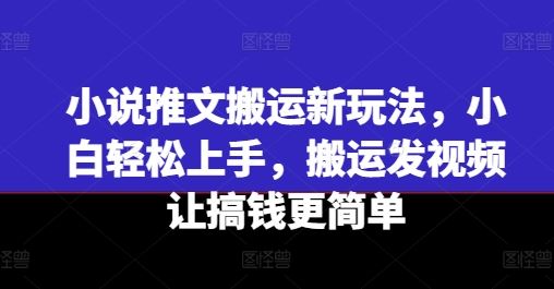 小说推文搬运新玩法，小白轻松上手，搬运发视频让搞钱更简单-好创网