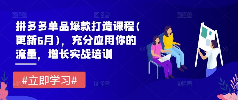 拼多多单品爆款打造课程(更新6月)，充分应用你的流量，增长实战培训-好创网