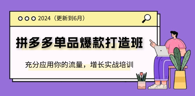 （11556期）2024拼多多-单品爆款打造班(更新6月)，充分应用你的流量，增长实战培训-好创网