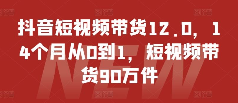 抖音短视频带货12.0，14个月从0到1，短视频带货90万件-好创网