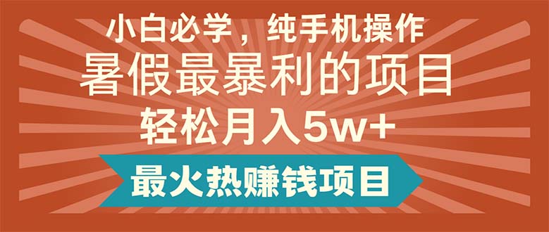 （11583期）小白必学，纯手机操作，暑假最暴利的项目轻松月入5w+最火热赚钱项目-好创网