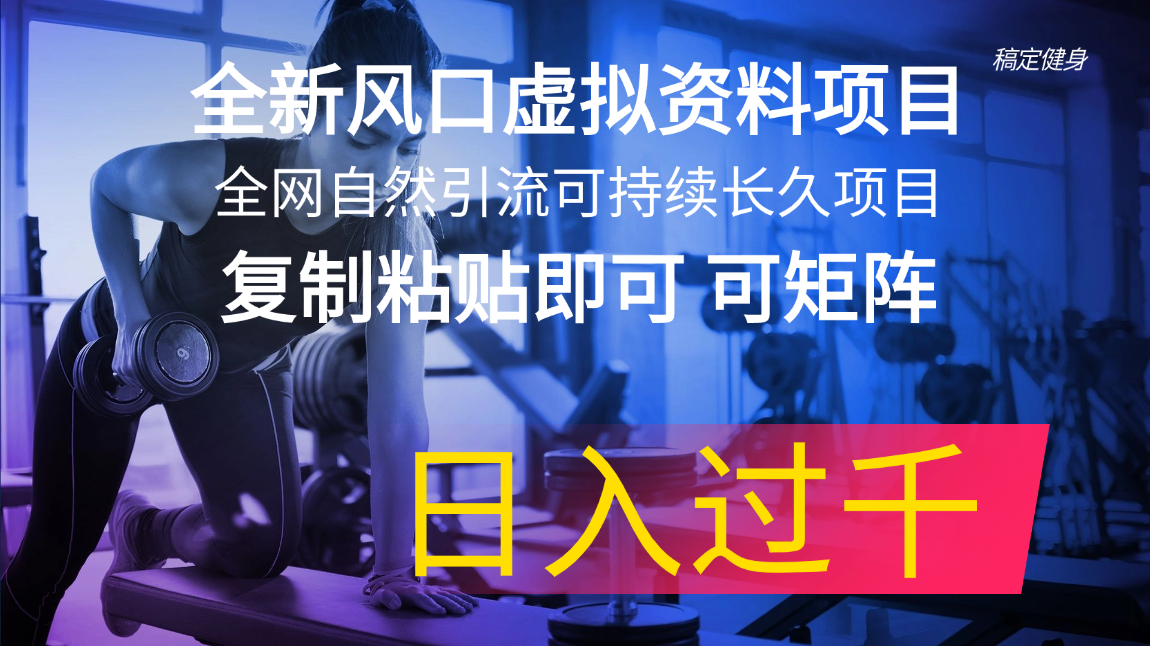 （11587期）全新风口虚拟资料项目 全网自然引流可持续长久项目 复制粘贴即可可矩阵…-好创网