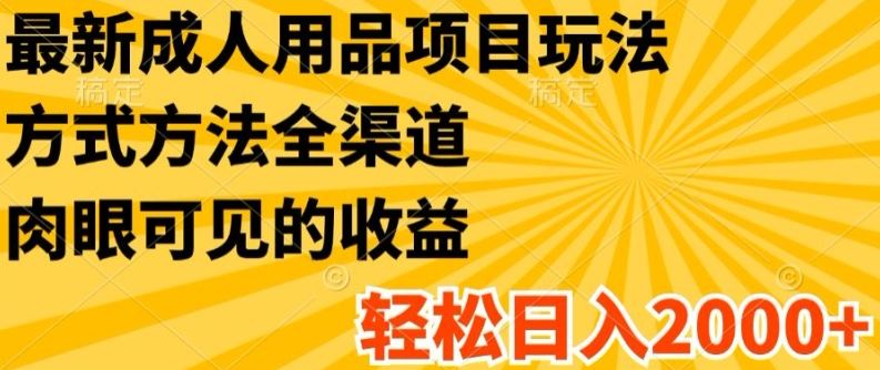 最新成人用品项目玩法，方式方法全渠道，轻松日入2K+【揭秘】-好创网