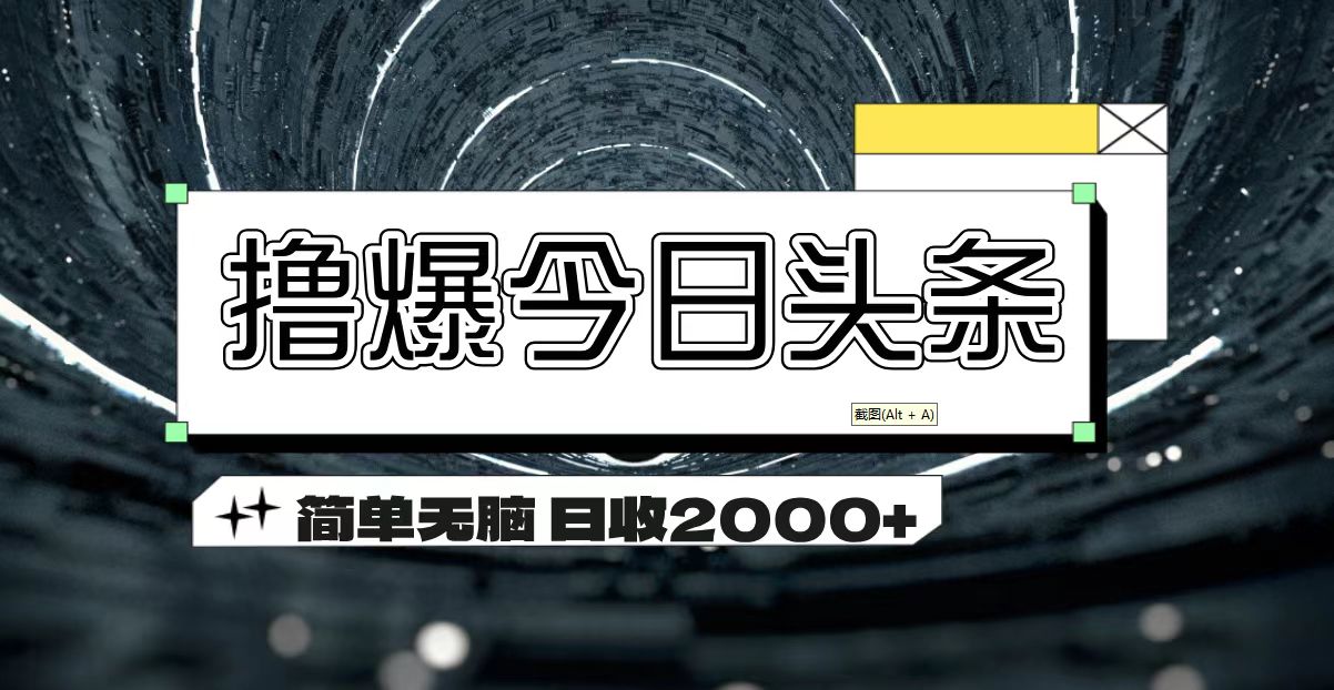 （11665期）撸爆今日头条 简单无脑操作 日收2000+-好创网