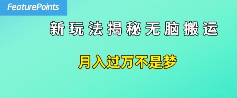 简单操作，每天50美元收入，搬运就是赚钱的秘诀【揭秘】-好创网
