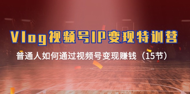 Vlog视频号IP变现特训营，普通人如何通过视频号变现赚钱（15节）-好创网