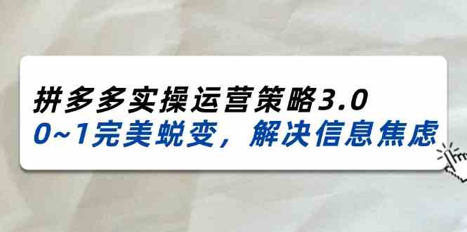 2024-2025拼多多实操运营策略3.0，0~1完美蜕变，解决信息焦虑（38节）-好创网