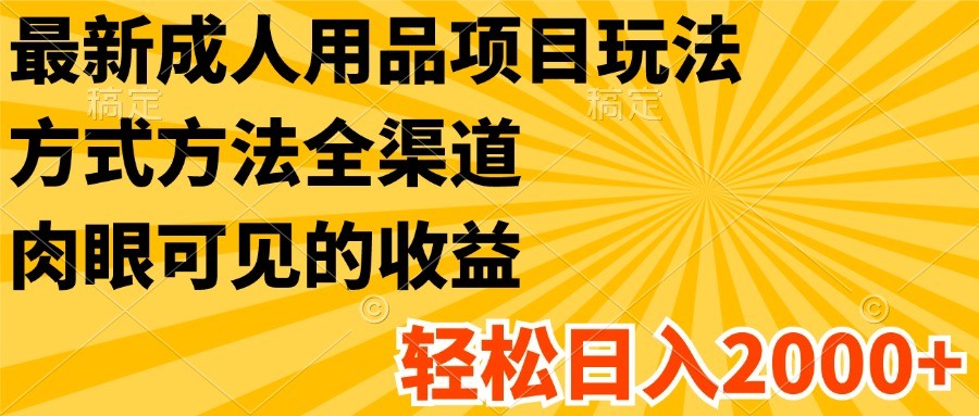 最新成人用品项目玩法，方式方法全渠道，肉眼可见的收益，轻松日入2000+-好创网