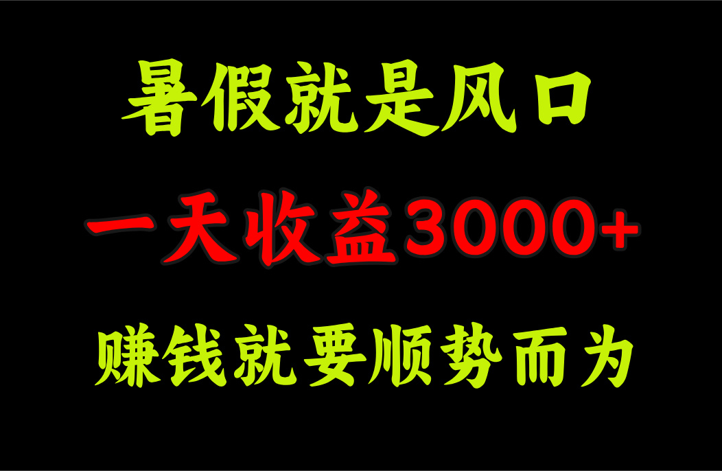 （11670期）一天收益3000+ 赚钱就是顺势而为，暑假就是风口-好创网
