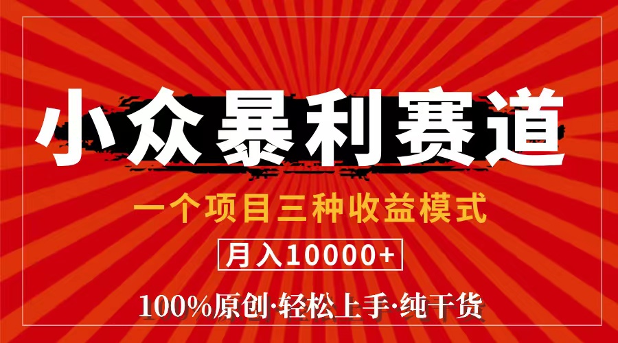 （11695期）视频号【中老年粉深信不疑】小众赛道 100%原创 手把手教学 新号3天收益…-好创网
