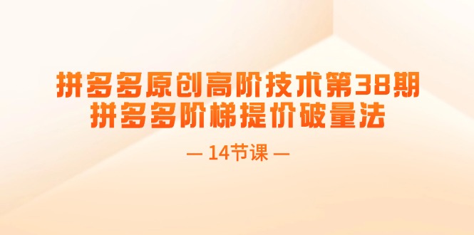 （11704期）拼多多原创高阶技术第38期，拼多多阶梯提价破量法（14节课）-好创网