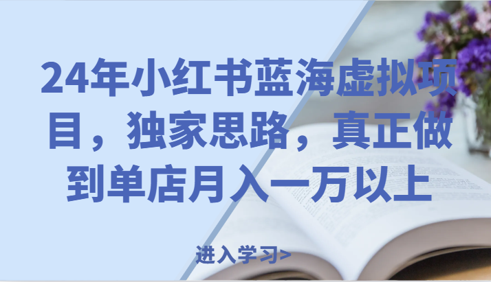 24年小红书蓝海虚拟项目，独家思路，真正做到单店月入一万以上。-好创网
