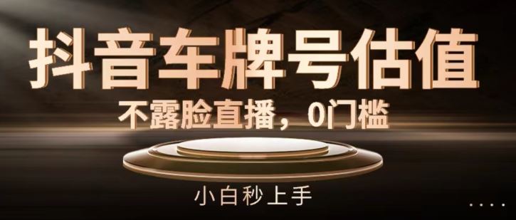 抖音车牌号估值，不露脸直播，0门槛，小白秒上手【揭秘】-好创网