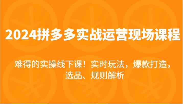 2024拼多多实战运营现场课，实时玩法，爆款打造，选品、规则解析，难得的实操线下课！-好创网