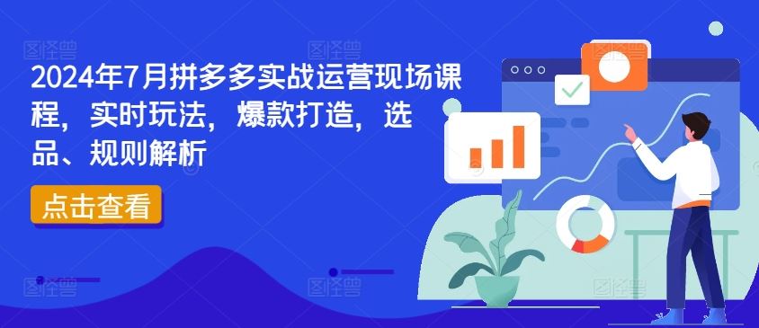 2024年7月拼多多实战运营现场课程，实时玩法，爆款打造，选品、规则解析-好创网