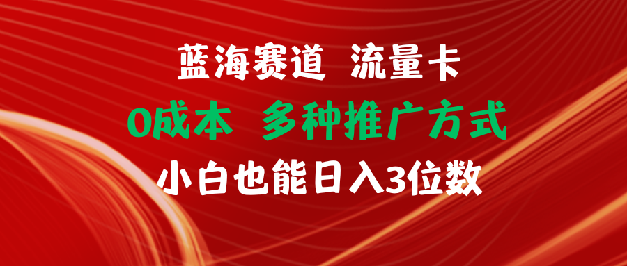 （11768期）蓝海赛道 流量卡 0成本 小白也能日入三位数-好创网