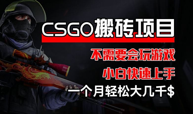 CSGO 装备搬砖项目，操作简单，不需要会玩游戏，小白也能快速上手，一个月轻松大几千【揭秘】-好创网