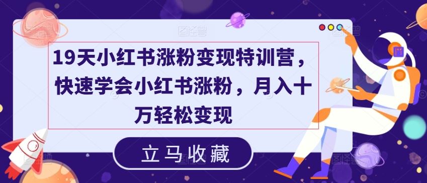 19天小红书涨粉变现特训营，快速学会小红书涨粉，月入十万轻松变现-好创网
