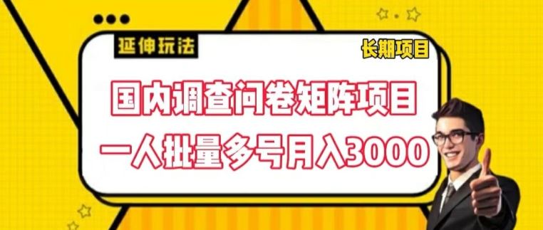国内调查问卷矩阵项目，一人批量多号月入3000【揭秘】-好创网