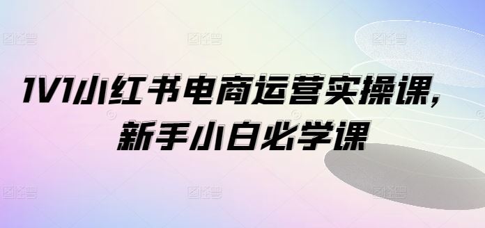 1V1小红书电商运营实操课，新手小白必学课-好创网