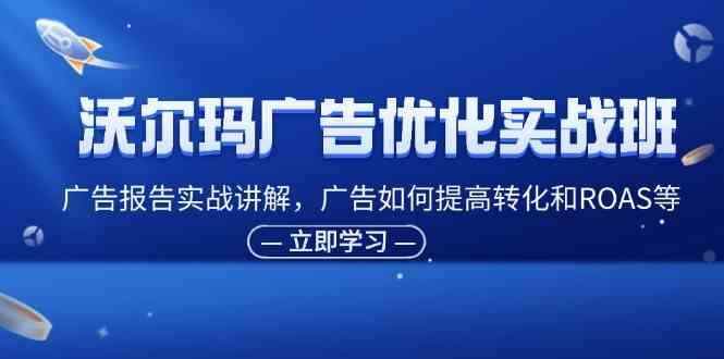 沃尔玛广告优化实战班，广告报告实战讲解，广告如何提高转化和ROAS等-好创网