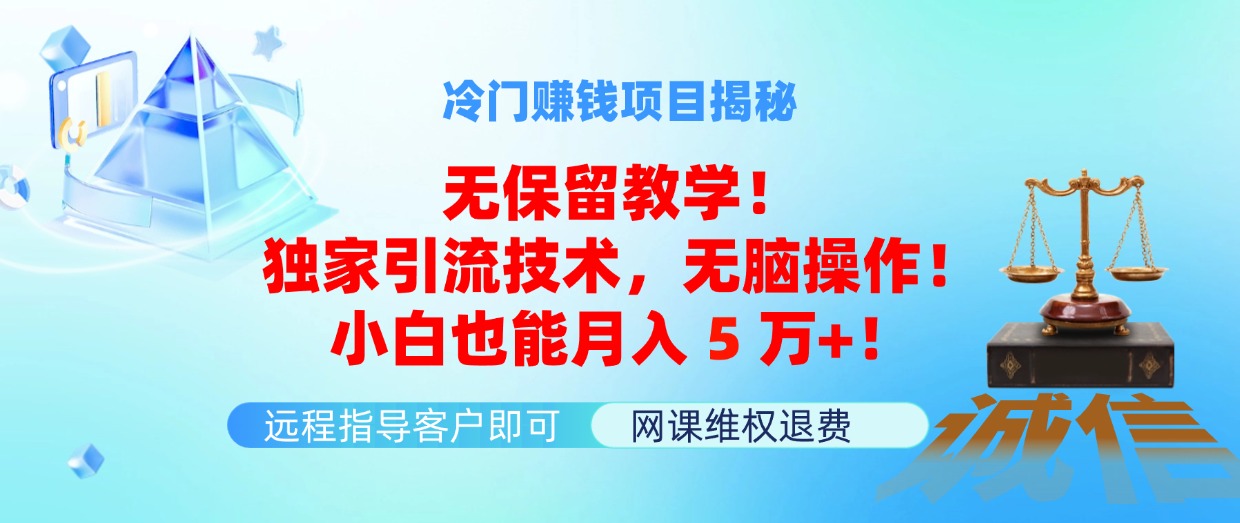 （11864期）冷门赚钱项目无保留教学！独家引流技术，无脑操作！小白也能月入5万+！-好创网