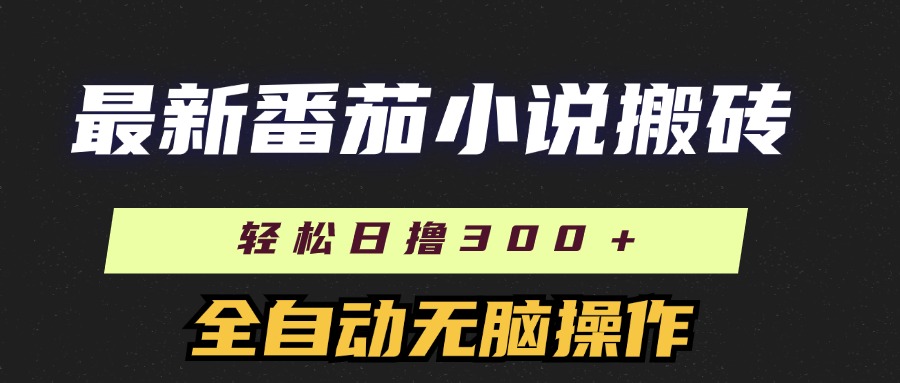 （11904期）最新番茄小说搬砖，日撸300＋！全自动操作，可矩阵放大-好创网