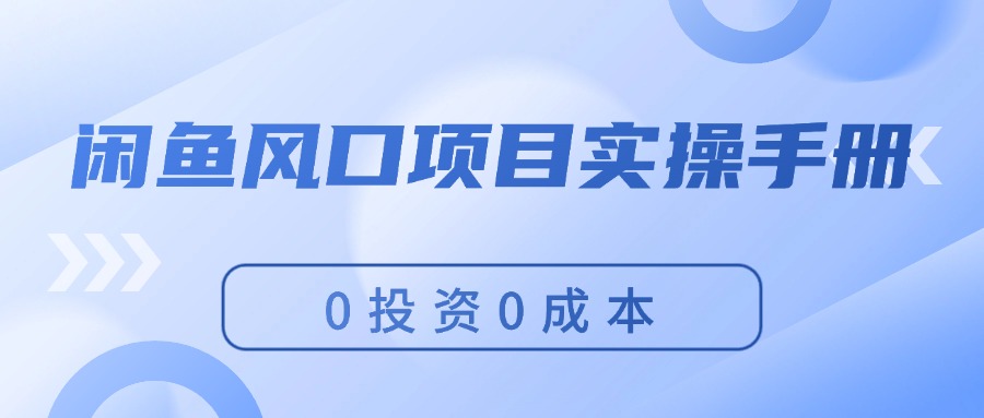 （11923期）闲鱼风口项目实操手册，0投资0成本，让你做到，月入过万，新手可做-好创网