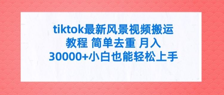 tiktok最新风景视频搬运教程 简单去重 月入3W+小白也能轻松上手【揭秘】-好创网