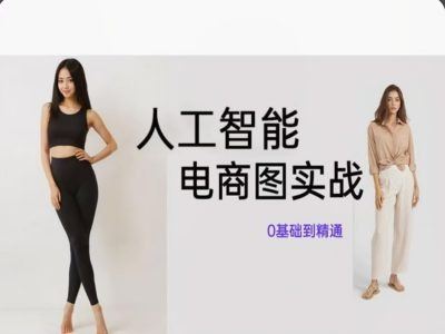 人工智能SD电商图实战，ai绘图0基础到精通-好创网