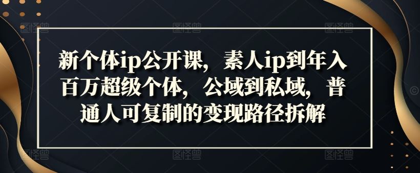 新个体ip公开课，素人ip到年入百万超级个体，公域到私域，普通人可复制的变现路径拆解-好创网