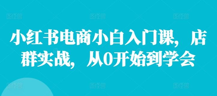 小红书电商小白入门课，店群实战，从0开始到学会-好创网