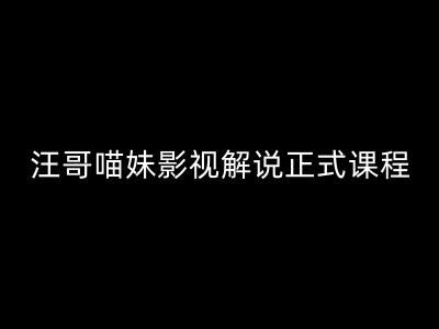 汪哥影视解说正式课程：剪映/PR教学/视解说剪辑5大黄金法则/全流程剪辑7把利器等等-好创网