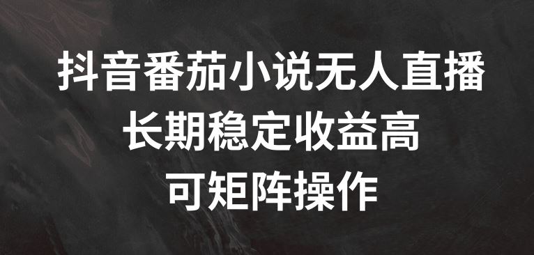 抖音番茄小说无人直播，长期稳定收益高，可矩阵操作【揭秘】-好创网