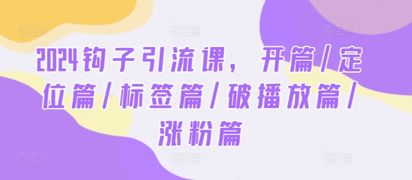 2024钩子引流课，开篇/定位篇/标签篇/破播放篇/涨粉篇-好创网
