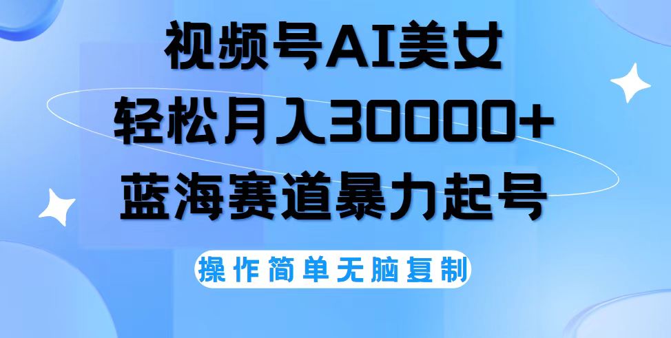 （12125期）视频号AI美女跳舞，轻松月入30000+，蓝海赛道，流量池巨大，起号猛，无…-好创网