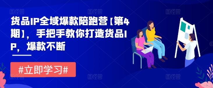 货品IP全域爆款陪跑营【第4期】，手把手教你打造货品IP，爆款不断-好创网
