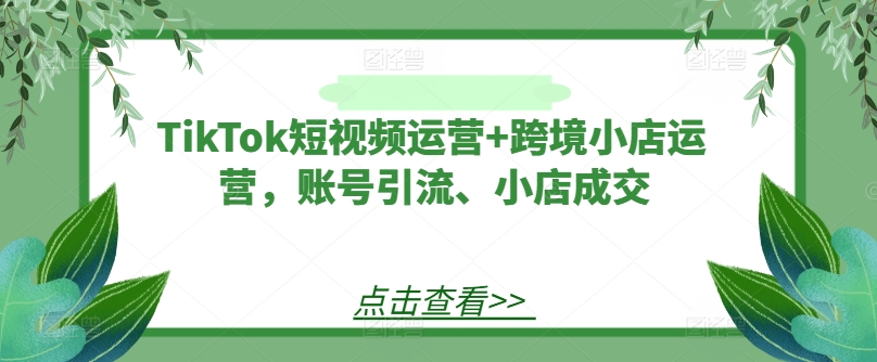 TikTok短视频运营+跨境小店运营，账号引流、小店成交-好创网