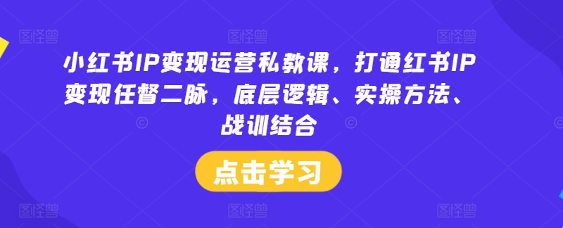 小红书IP变现运营私教课，打通红书IP变现任督二脉，底层逻辑、实操方法、战训结合-好创网