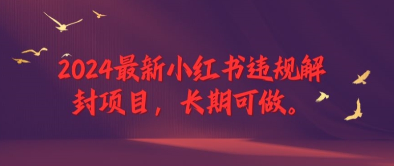 2024最新小红书违规解封项目，长期可做，一个可以做到退休的项目-好创网