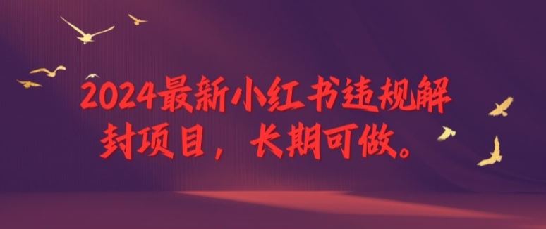 2024最新小红书违规解封项目，长期可做，一个可以做到退休的项目【揭秘】-好创网