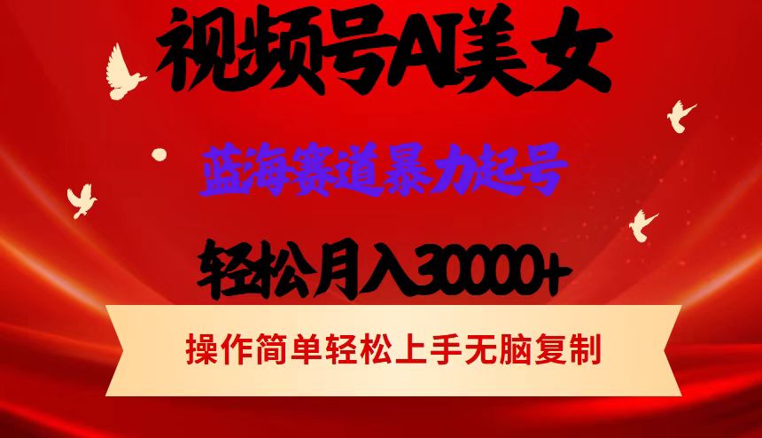 （12178期）视频号AI美女跳舞，轻松月入30000+，蓝海赛道，流量池巨大，起号猛，当…-好创网