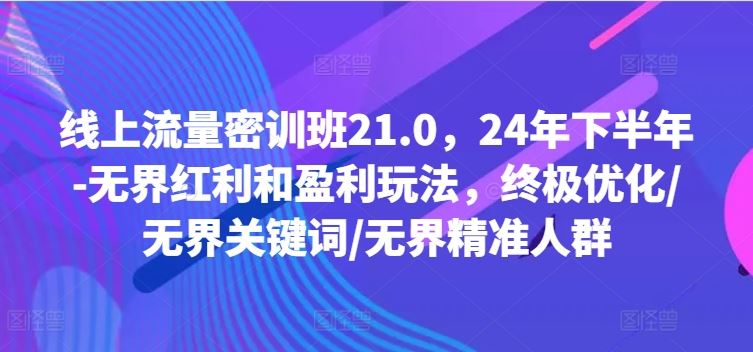 线上流量密训班21.0，24年下半年-无界红利和盈利玩法，终极优化/无界关键词/无界精准人群-好创网