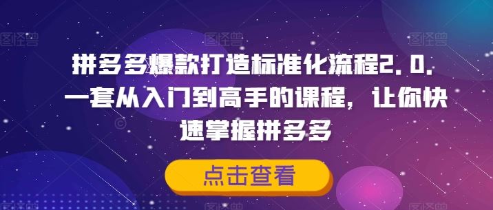 拼多多爆款打造标准化流程2.0，一套从入门到高手的课程，让你快速掌握拼多多-好创网