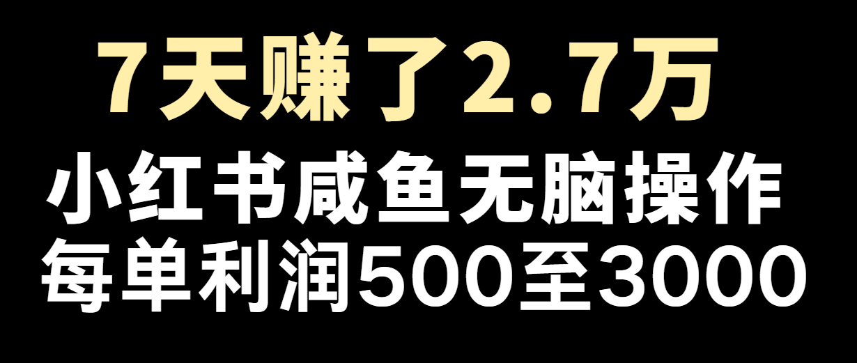 七天赚了2.7万！每单利润最少500+，轻松月入5万+小白有手就行-好创网