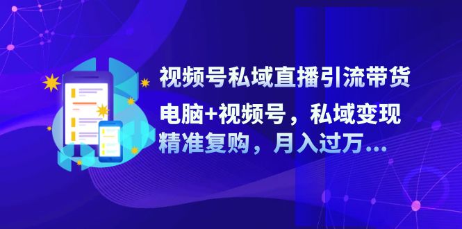（12249期）视频号私域直播引流带货：电脑+视频号，私域变现，精准复购，月入过万…-好创网